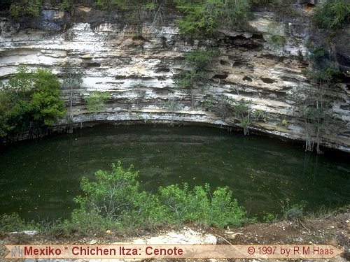 Der heilige Cenote