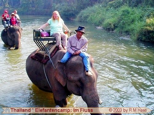 Elefantenritt durch den Fluss