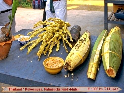 Kokosnuss, Palmzucker und -blüten